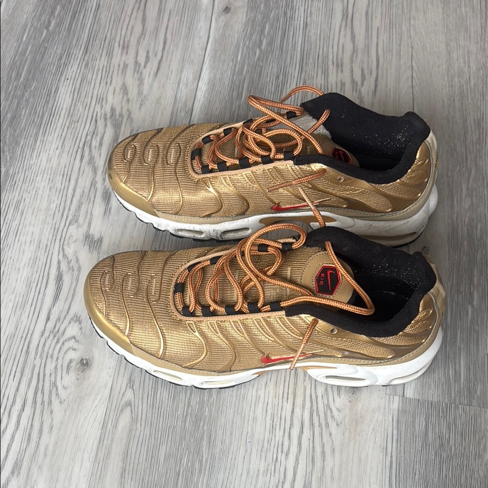 Men Nike Air Max Plus TN